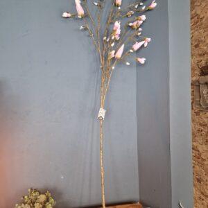 volle magnoliatak lang