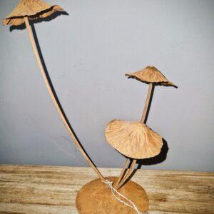 roestige ijzeren  paddestoelen