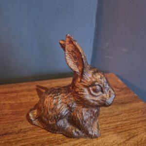 Lief klein konijntje