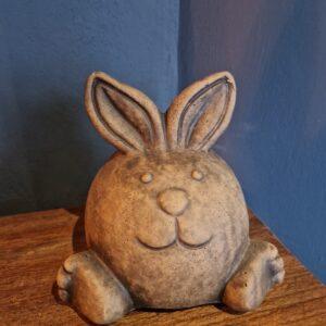 grappig Brynxz konijn